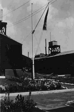 Flagpole at Down Lane site