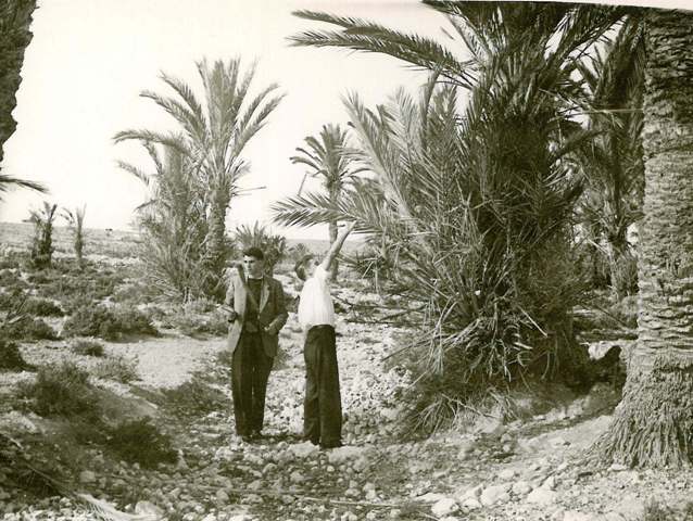 A break on the road to Derna